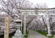 大年神社 大年神社